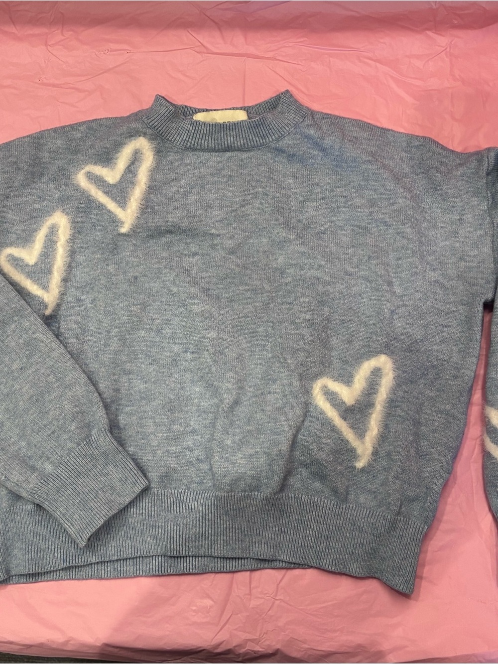 Pinch Women’s Sweater Blue Hearts Crewneck Long Sleeve Cozy Autumn NWOT Sz M